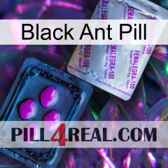 Black Ant Pill 37